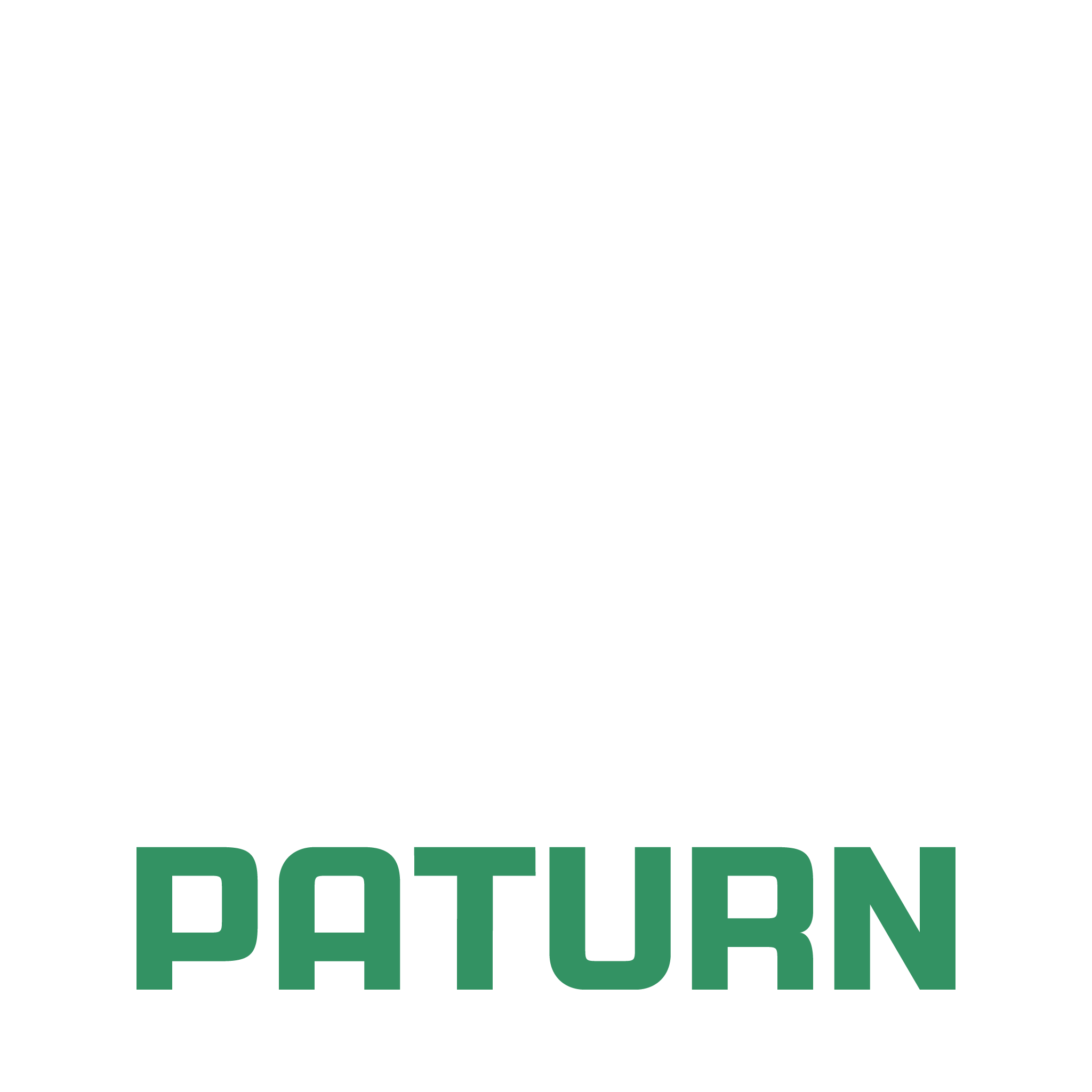 PATURN Logo